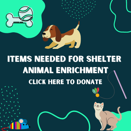 Shelter Enrichment Donation button