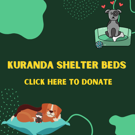 Shelter bed donation button