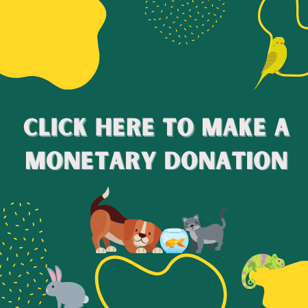 Monetary donation button