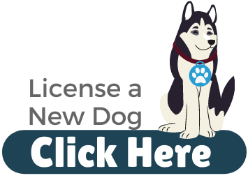 License my Dog