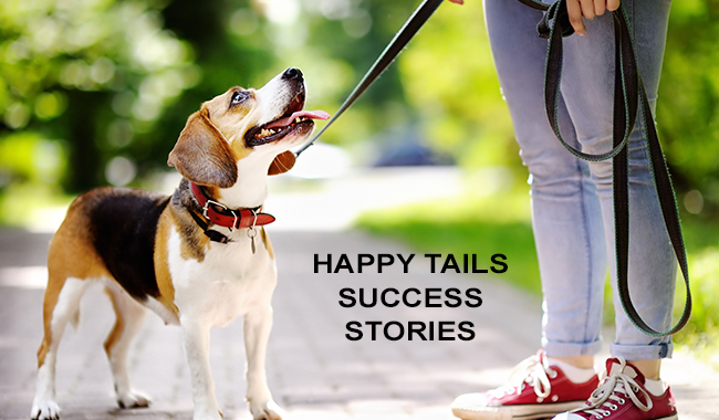 Happy Tails Success Stories