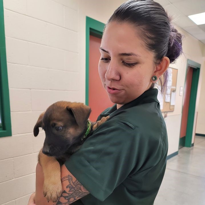 Employee holding a puppy.
