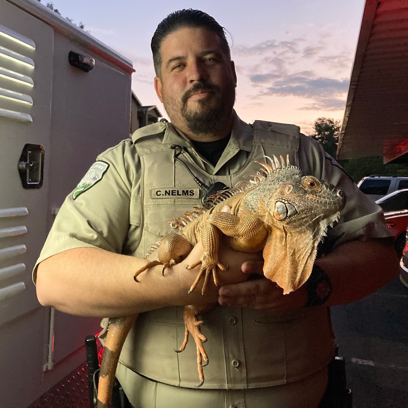 Employee holding a giant iguana.
