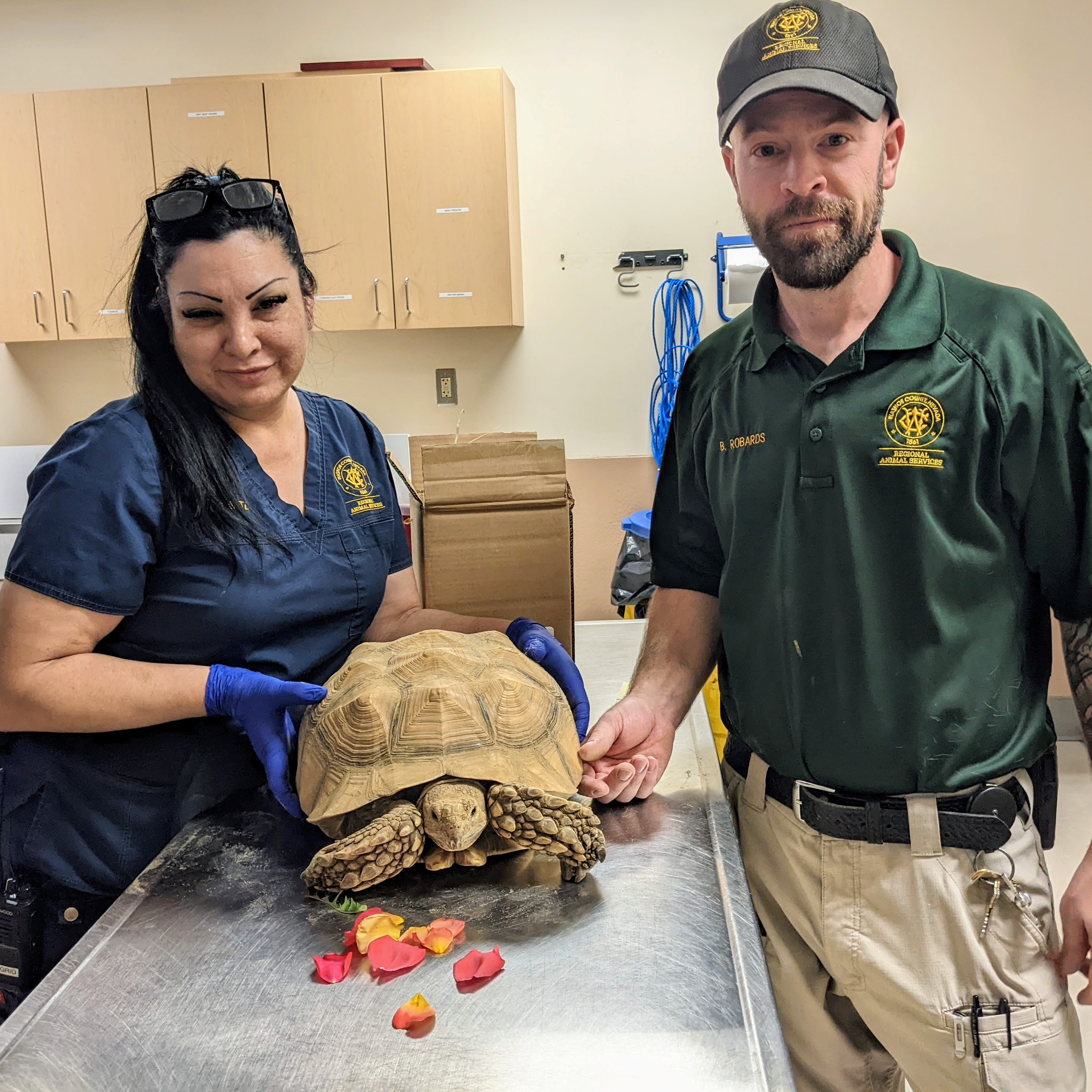 Employees with a turtle.