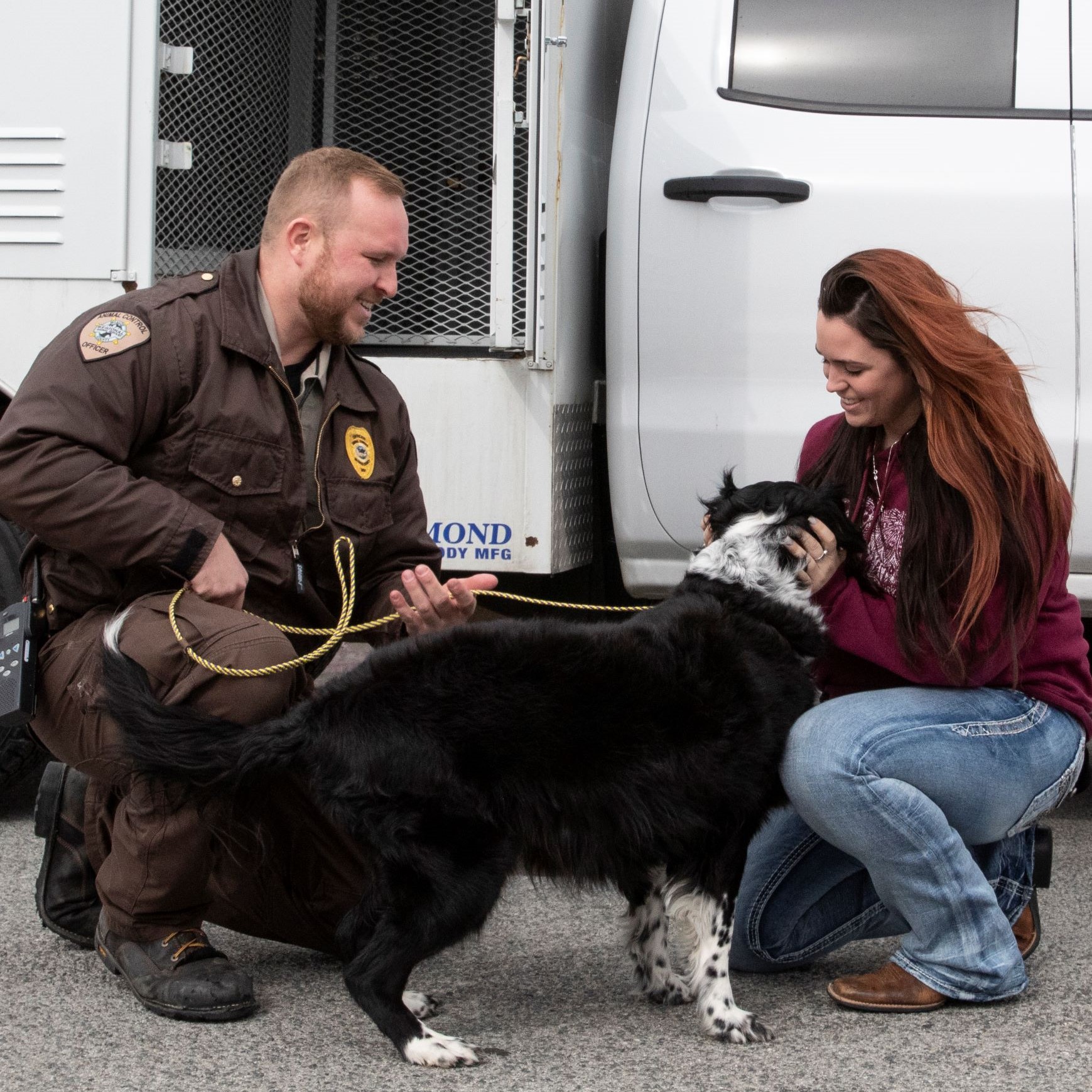 Employee helping reunite a dog.