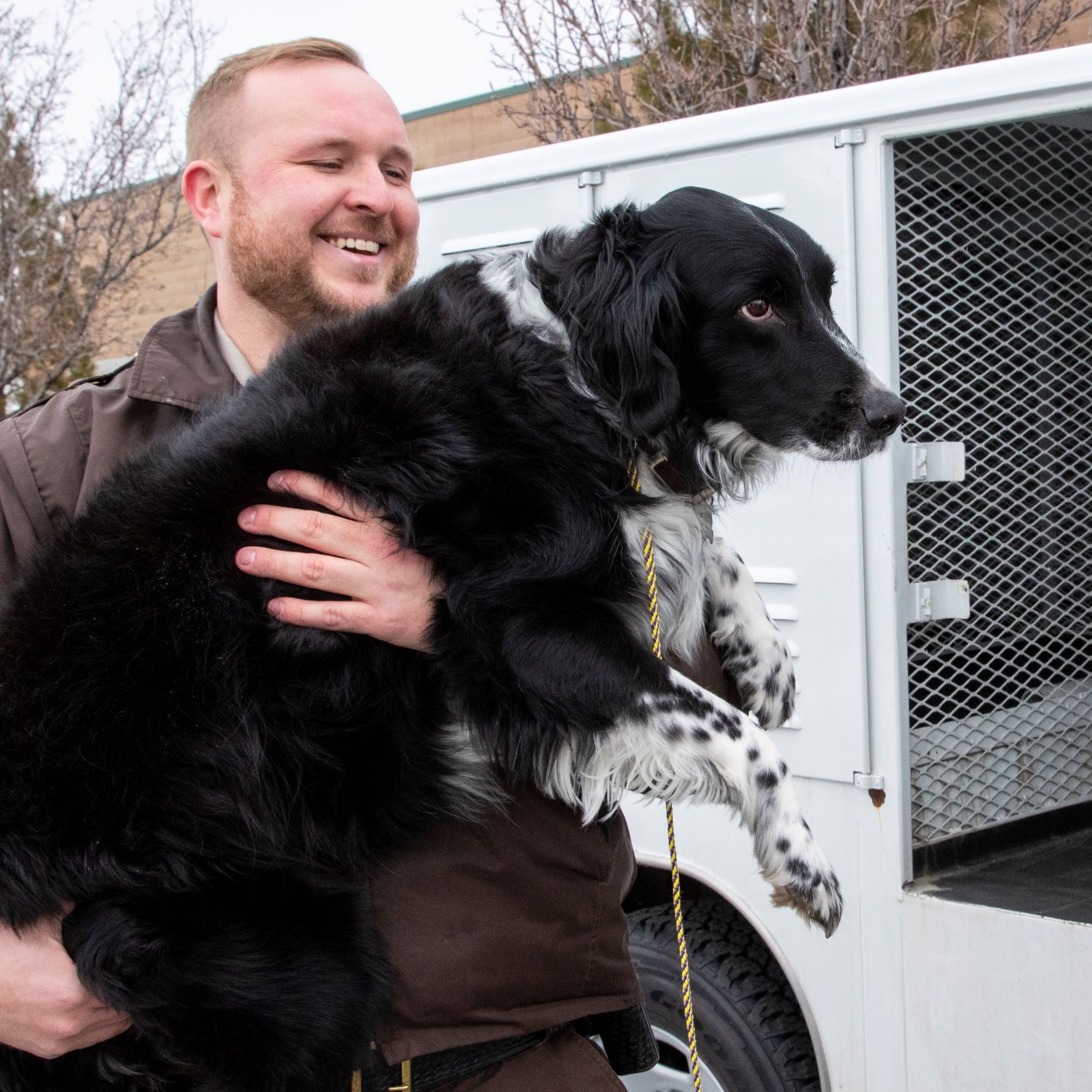 Employee helping reunite a dog.