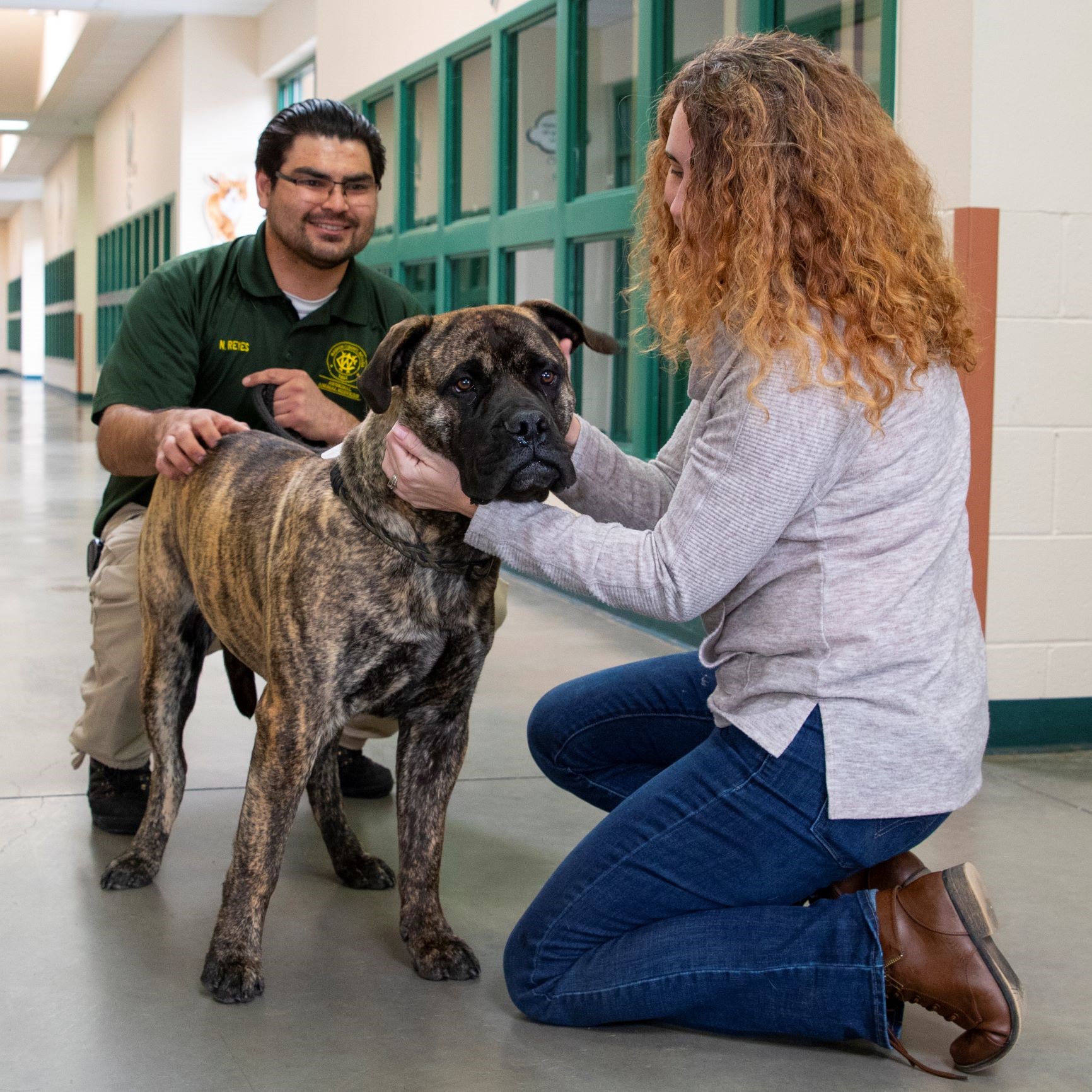 Employee helping reunite a dog.