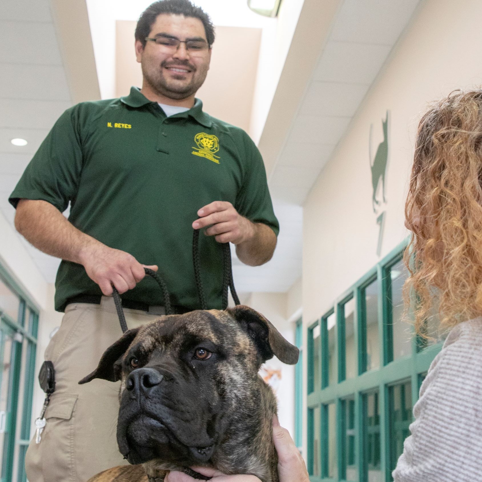 Employee helping reunite a dog.