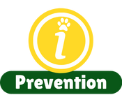 Prevention before panic