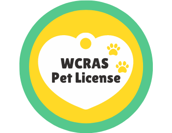 Ensure your dog's license is current