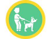 2. Take the pet for a walk around the neighborhood.