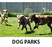 Dog Parks