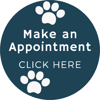 appointment-button.png