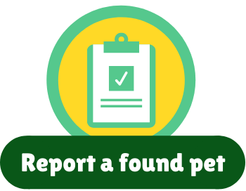 4. Complete a Found Animal Report with Animal Services.