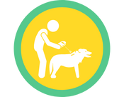 7. Have the pet scanned for a microchip