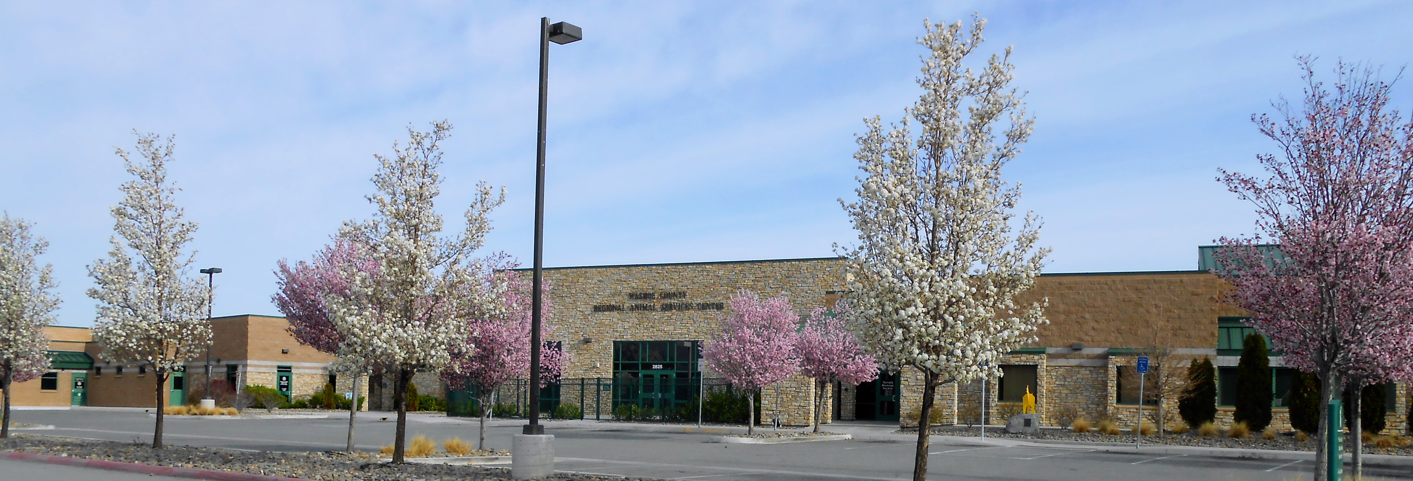 Front-of-building