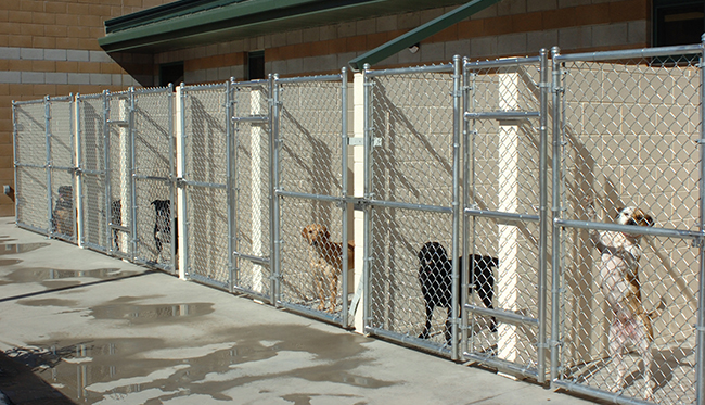 Outside Kennels