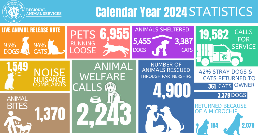 Display showing 2024 summary statistics