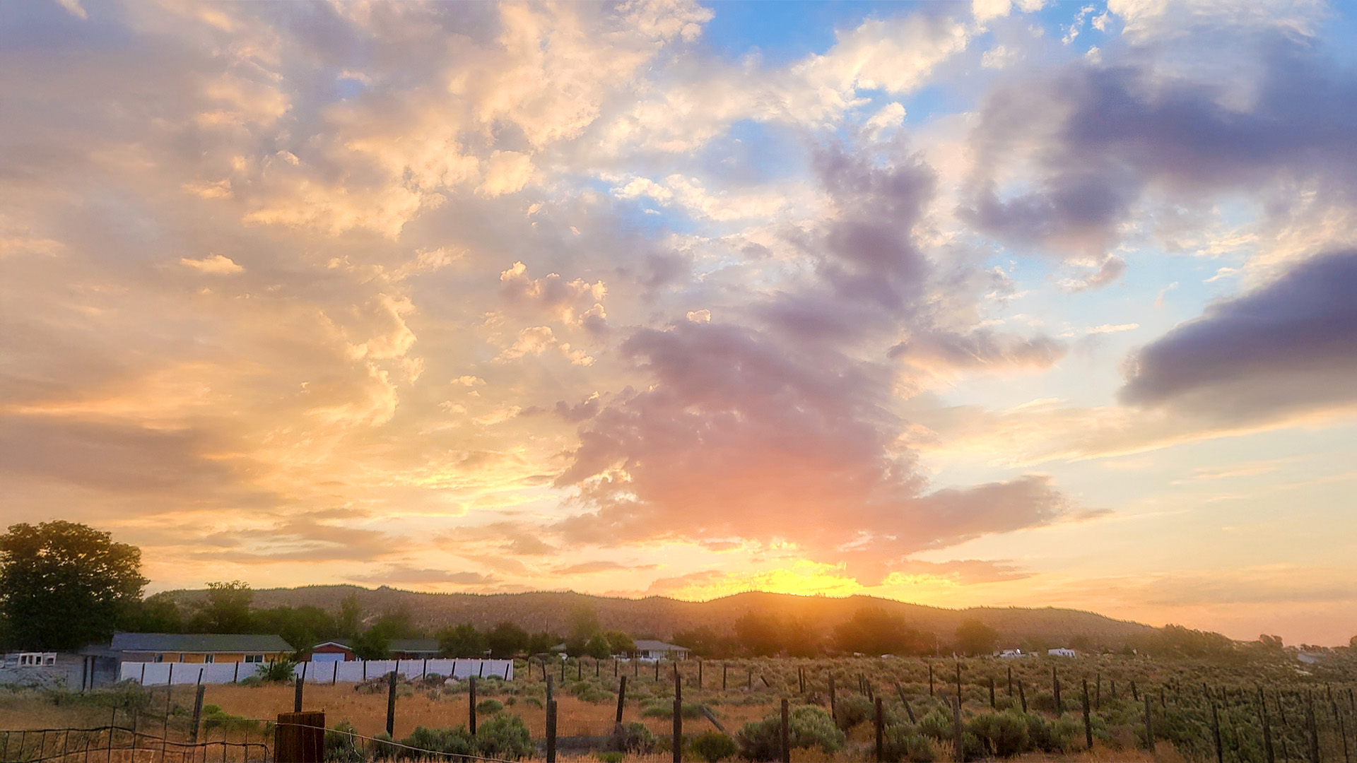 Washoe County landscape