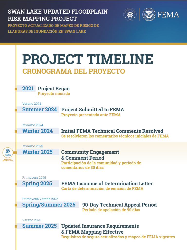 Visual of project timeline
