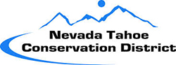 NTCD Logo