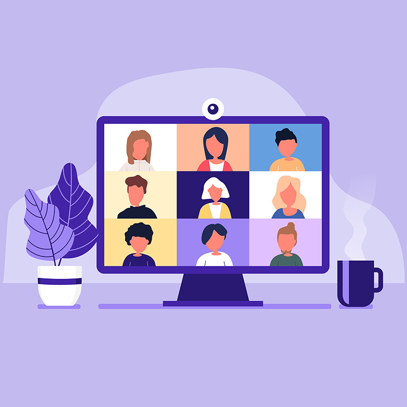 Virtual Meetings with Experts