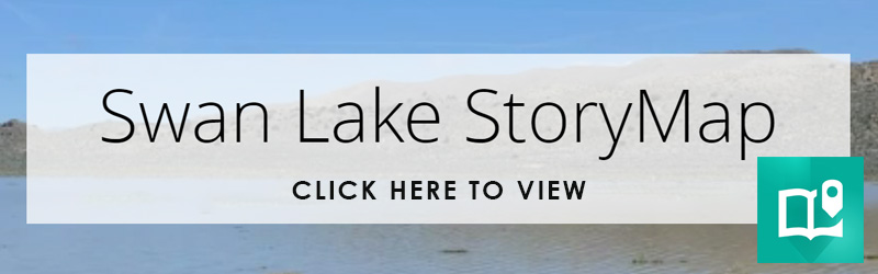 Swan Lake Story Map