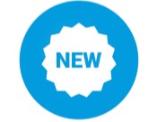 New Business License
