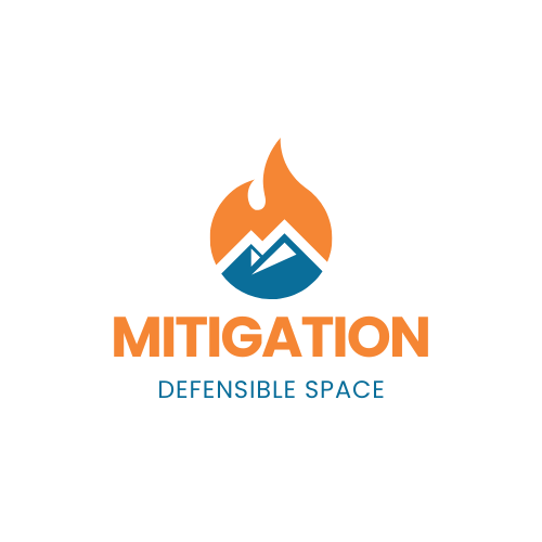 Logo---Defenisble-Space.png