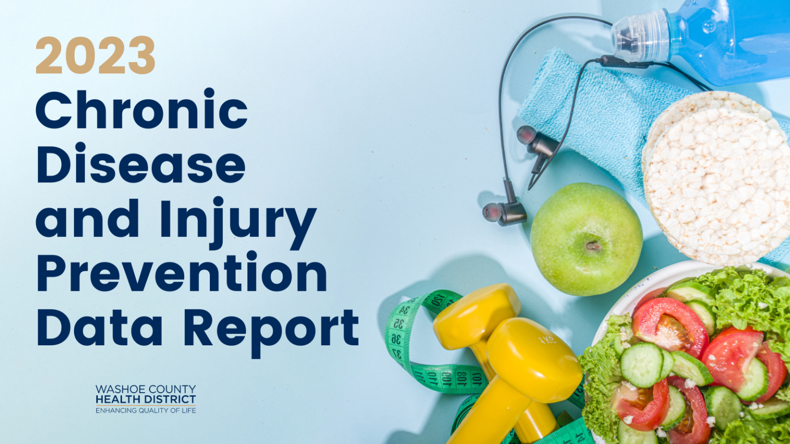 A summary report of chronic health conditions, injuries and their primary risk factors for Washoe County and the United States