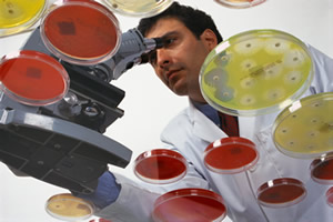 Picture of petri dishes and doctor