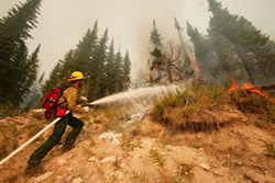 Picture of fire fighter and wildfire