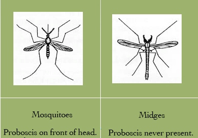 Internet 2018 Mouche Mosquito Bug Piège Électrique Fly Midges Catch Dispositif avec Plug pour la Maison Hôtel Restaurant 