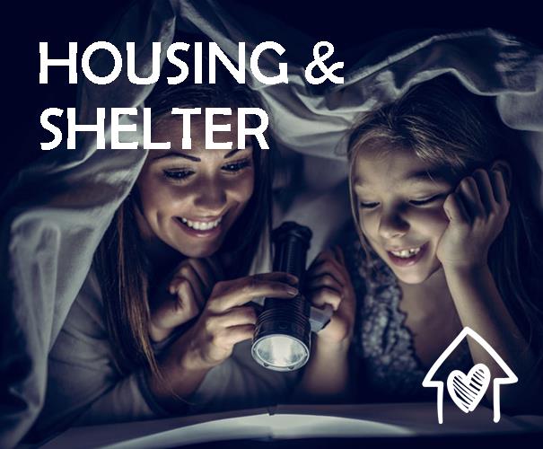 Housing and Shelter
