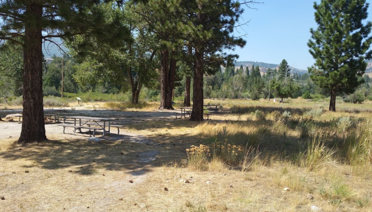 Picnic Area