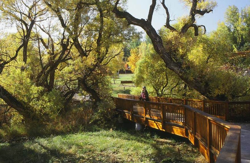 Arboretum-Evans-Creek-Bridge.jpg