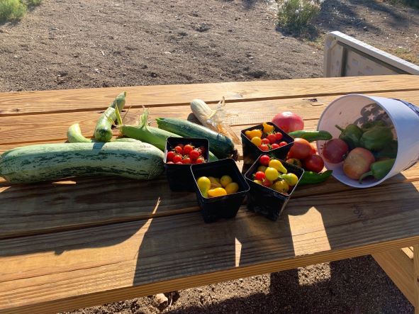 Produce Image