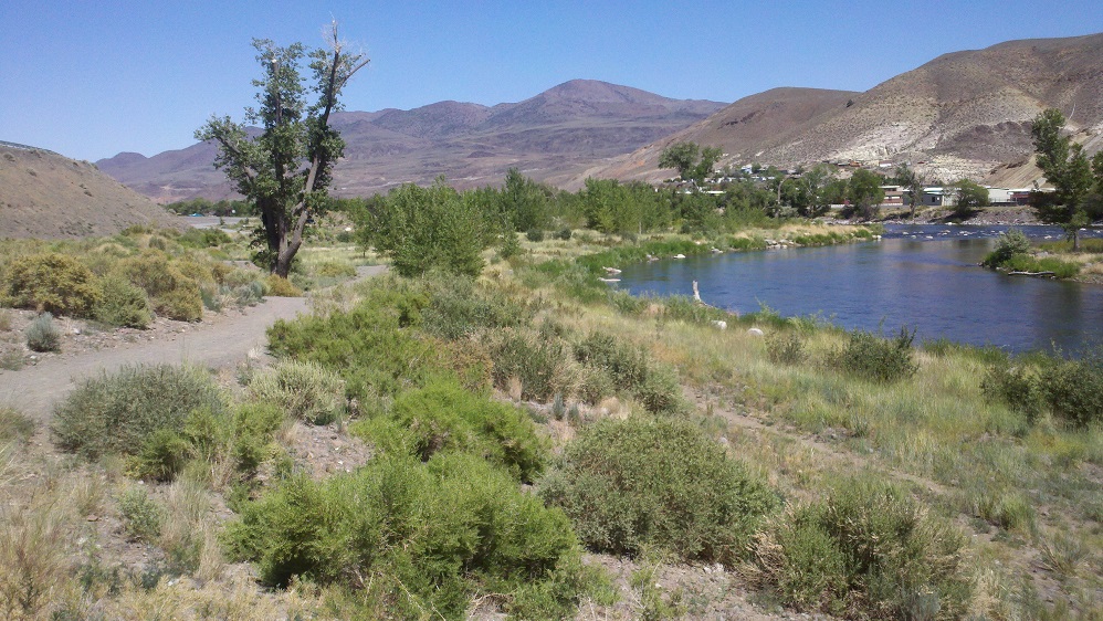 Trail along the Truckee