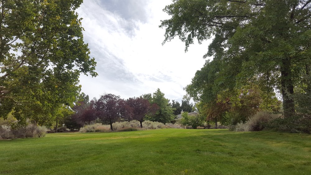 An abundance of flora and fauna call Thomas Creek Park home.