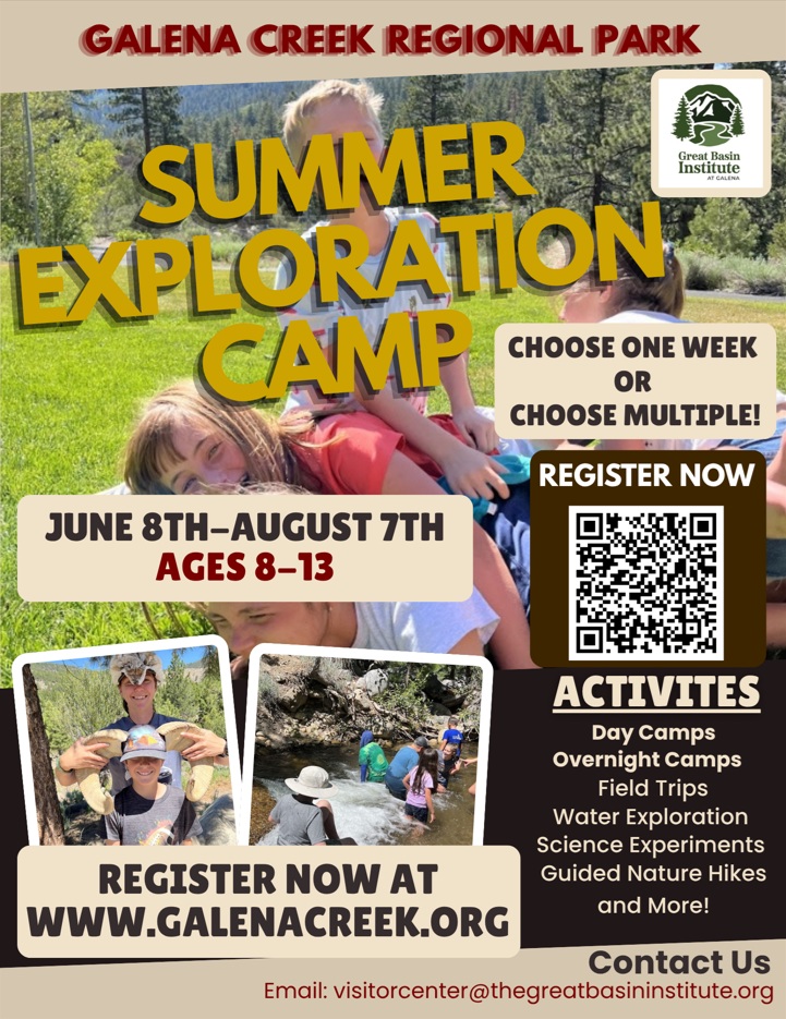 Summer Camp Flyer