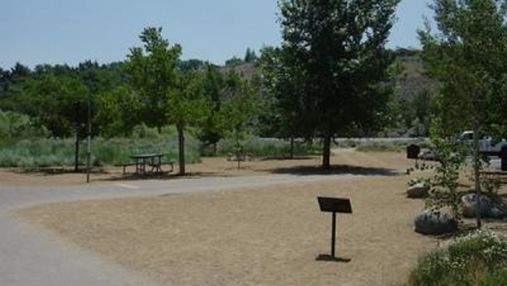 Picnic Tables