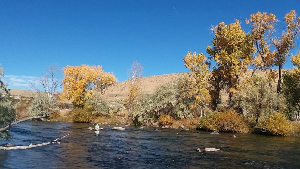 Truckee River Access