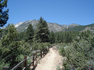 Davis-Creek-trail.jpg