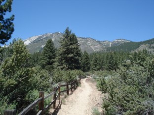 Davis Creek trail Image