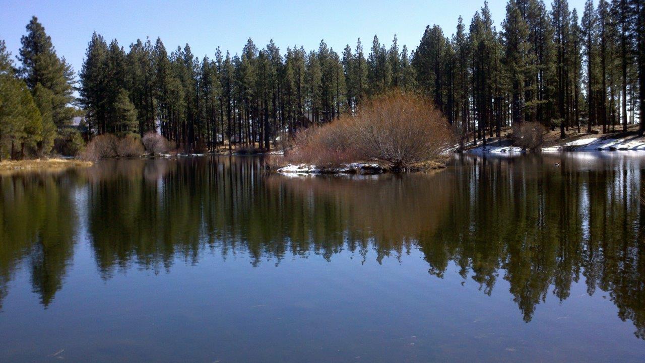 Pond with snow