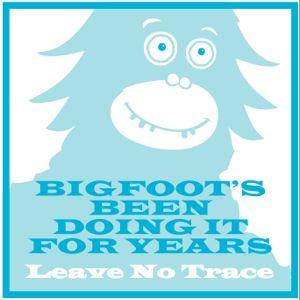 Image of Bigfoot