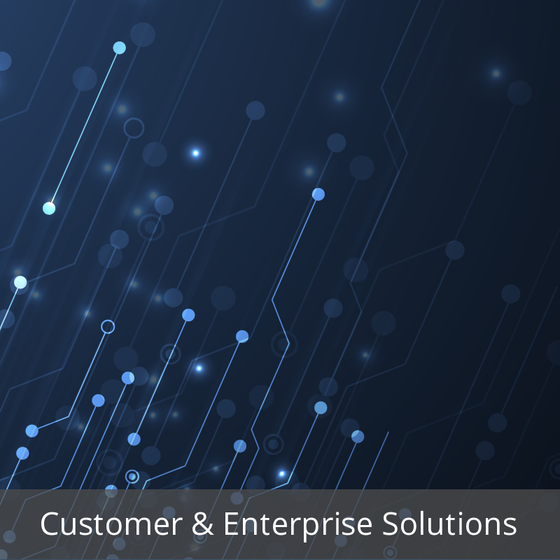 Customer & Enterprise Solutions 