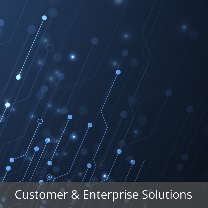 Customer & Enterprise Solutions